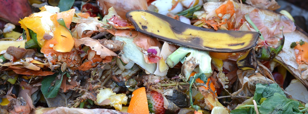 How to Start a Compost Bin - A Step-by-Step Guide